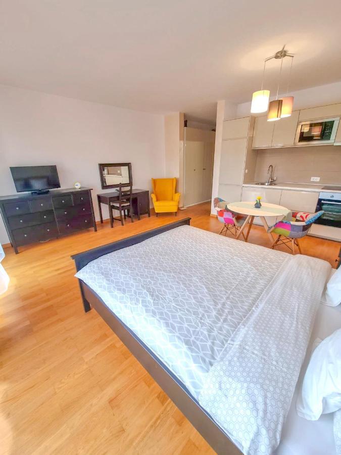 Downtown Premium Apartments Brassó Kültér fotó